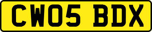 CW05BDX