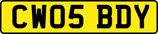 CW05BDY