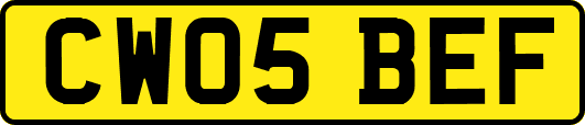 CW05BEF