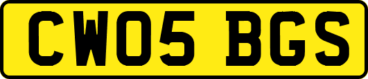 CW05BGS