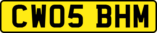 CW05BHM
