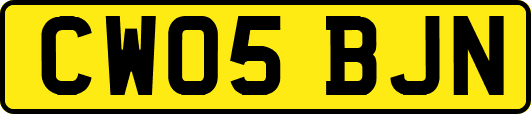 CW05BJN