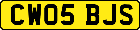 CW05BJS