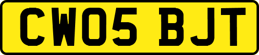 CW05BJT