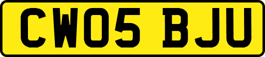 CW05BJU