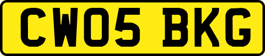 CW05BKG