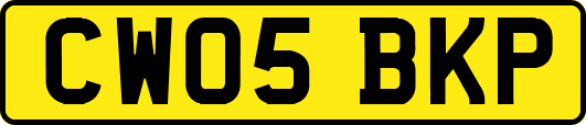 CW05BKP