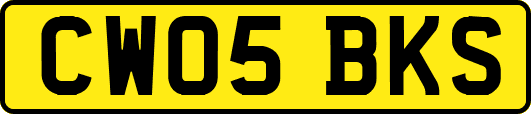 CW05BKS