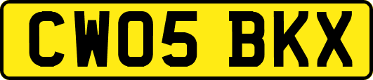 CW05BKX