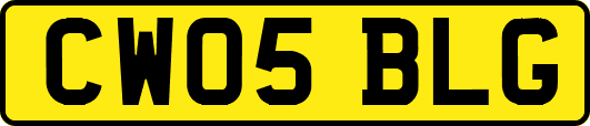 CW05BLG
