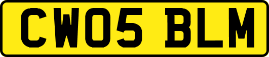 CW05BLM