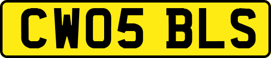 CW05BLS