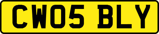 CW05BLY