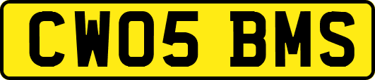 CW05BMS