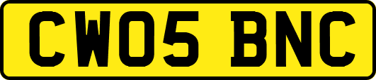 CW05BNC