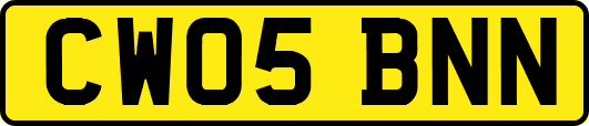 CW05BNN