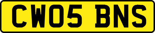 CW05BNS