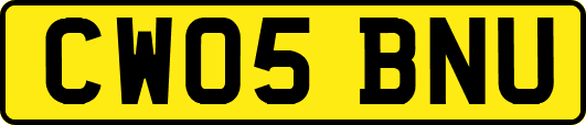 CW05BNU