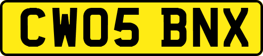 CW05BNX