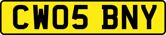 CW05BNY