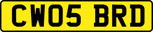 CW05BRD