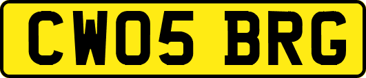 CW05BRG