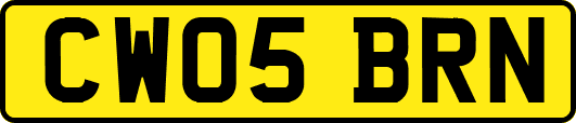 CW05BRN