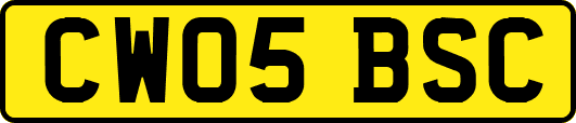 CW05BSC