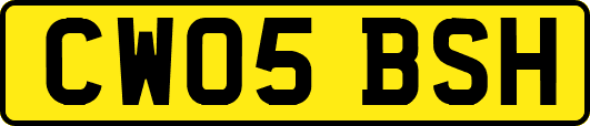 CW05BSH