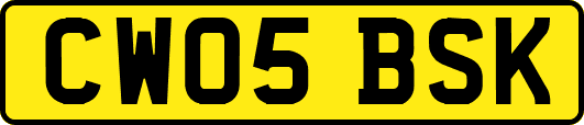 CW05BSK