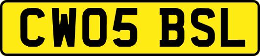 CW05BSL