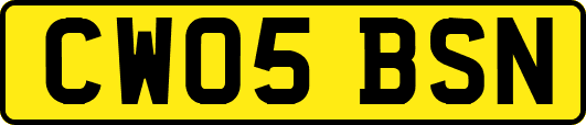 CW05BSN