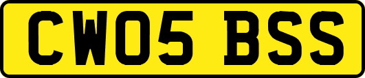 CW05BSS
