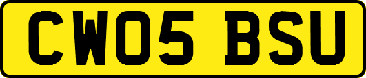 CW05BSU