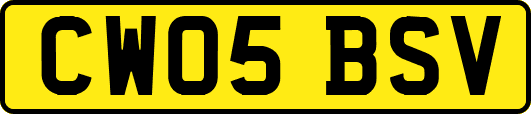 CW05BSV