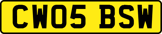CW05BSW