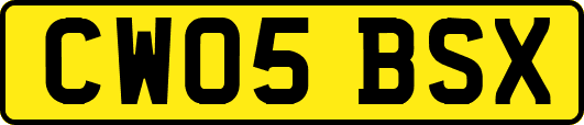 CW05BSX
