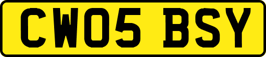 CW05BSY