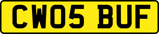 CW05BUF