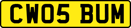 CW05BUM