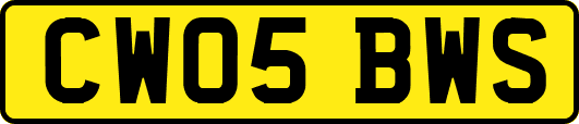 CW05BWS