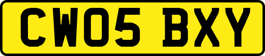 CW05BXY