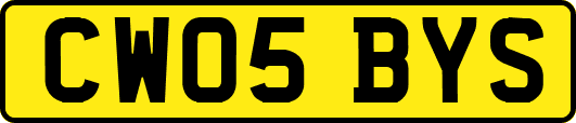 CW05BYS