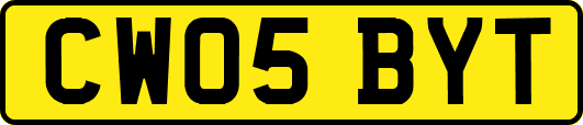 CW05BYT