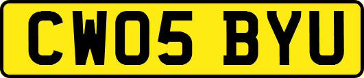 CW05BYU