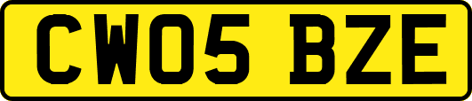 CW05BZE