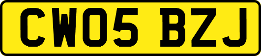 CW05BZJ