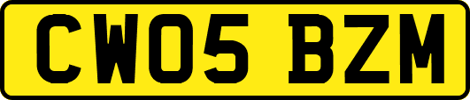 CW05BZM
