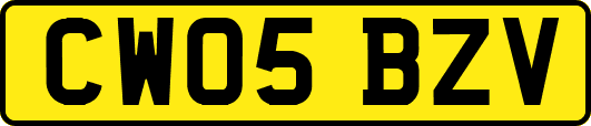 CW05BZV