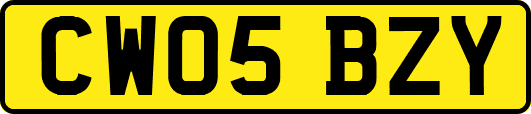 CW05BZY